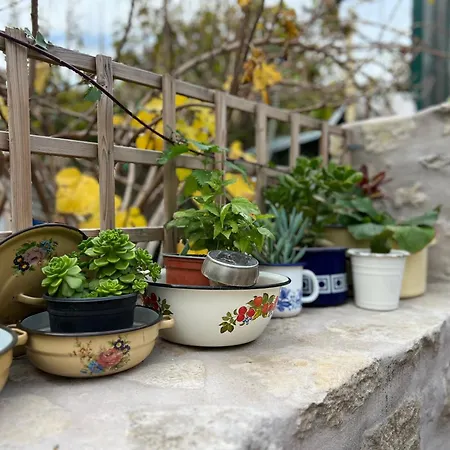 Vintage & Garden Vakantiehuis