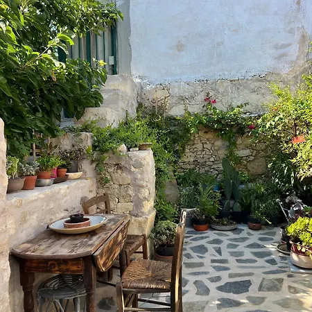 Vintage & Garden *
